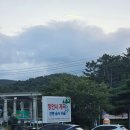신라해장국 (장안점) 네이버블로그