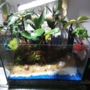 구라미농장 이미지