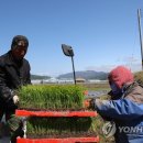 김화권역임대사업소 이미지