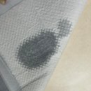 고래로L | 강아지 배변패드 추천, 강아지 소변이 바로 흡수되는 고래패드 오리지널 L 사용후기