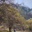 이천역삼거리(시내방면) | 이천 가볼만한곳 원적산 등산코스 거닐며 경기도 등산 즐기고 일출 산행 후 산수유 둘레길 걷고 축제...