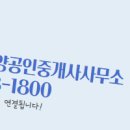 태양공인중개사사무소 이미지