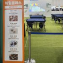 2025 케이펫페어 대전 방문후기 (dcc대전컨벤션센터 제2전시장)