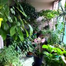 박여사전집 이미지