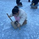 알프스펜션A | 2026 청양 얼음분수축제 완벽 정복: 주차 걱정 없는 알프스마을 펜션 투숙 후기