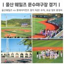 GS25 울산남목중앙 | 울산 데이트 놀거리 문수야구장 가격 울산 웨일즈 롯데자이언츠 경기