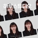 [춘천 하루스튜디오] 면허증 갱신준비! 증명사진 직접 찍어본 솔직후기 여권사진 가족사진 촬영도 추천