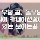 무덤 꿈해몽 모음 무덤 위에 집을 짓는 꿈 해몽 돌무덤꿈 해몽 무덤 구멍꿈 무덤에서 구더기가 나오는꿈 무덤꿈 이미지