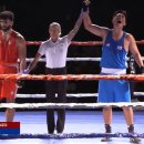 월드복싱 이미지