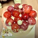 제주온다온 네이버블로그