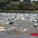 수영-301 이미지