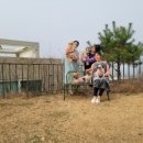 더블스테이 또또멍5호 이미지