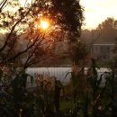 처음농장 이미지