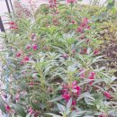 세븐일레븐 청학우리 이미지