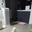 순천만동물병원 이미지