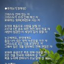 미가 이미지