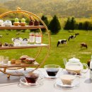 자작농장 이미지