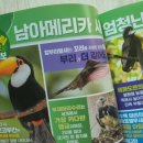 (주)토마스트래블
