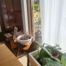 아늑펜션B민박 이미지