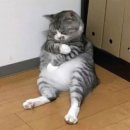 벚꽃엔딩