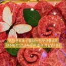 양심축산