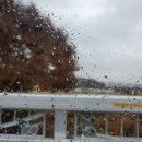 현동4리 폐비닐집하장내 | [옥천포럼후기] &#34;미세먼지와농촌지역 노천소각 그리고 쓰레기 수거 체계&#34;의 주제로 옥천 공동체 허브...