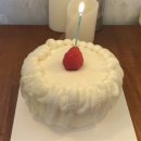 퍼피어스(Puppy us) | 꽁꽁 숨겨둔 케이크 인생맛집 리스트 . 🍰