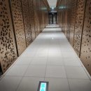 [JM헬스팩토리]제이엠아르기닌4000 6주 복용후기(#다이어트영양제)