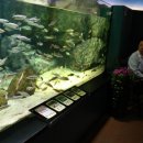 나드리먹거리 이미지