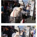 오늘의즐거움