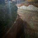 [주간일기] #64. 집중!