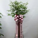 (주)해피나무 이미지