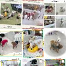 더 예쁘개 이미지