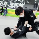 용인대 가온도장 이미지