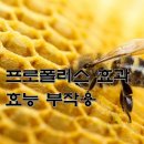 프로폴리스 효능 과 부작용 이미지