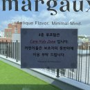 마고노더니스 이미지
