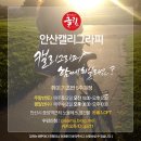 붓펜캘리그라피(주말반) 이미지