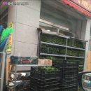 제일농약사 이미지