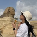 아대박 | 피라미드·스핑크스·이집트 대박물관 투어 후기｜한국어 가이드 모마투어 동선