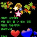 솔사랑 이미지