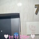 봄별 이미지
