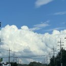 송천경희대태권도 이미지