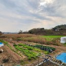 압해공인중개사사무소 이미지