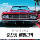 카스토리 이미지