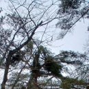 무갑산 | 무갑산 산행 후기(25.2.15.토)