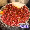 서울천막 | 방이 먹자골목 방이동 레트로 신상 술집 천막집 육회 내돈내산 솔직후기