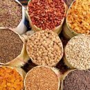 더바디짐 이미지