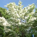 송연농장 이미지