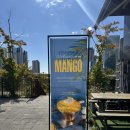 동탄역 | 동탄 브런치 카페 동탄역 근처 브런치 맛집 37.5 후기