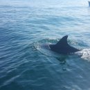 제주 힐링하우스 이미지